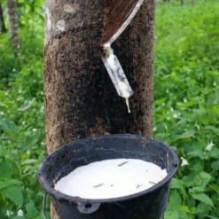 Saddle Seat Stool -Loom Crafted Shop rubber tree tapping square 11105.1543861201